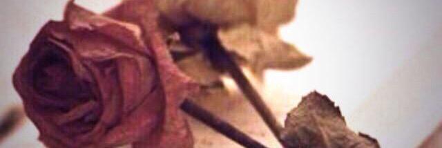 راجي الخمعلي banner