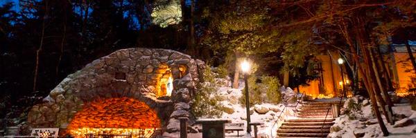 Eileen Shannon banner