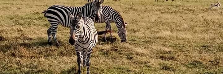 bensonMacharia1's profile banner image