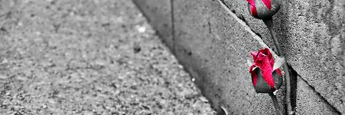MIKEGAMMX's profile banner image