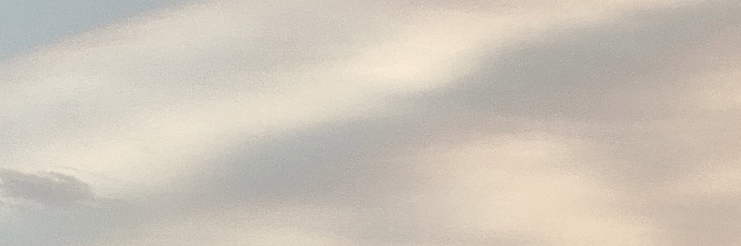 taylor banner