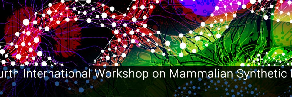 MammalianSynbio's profile banner image