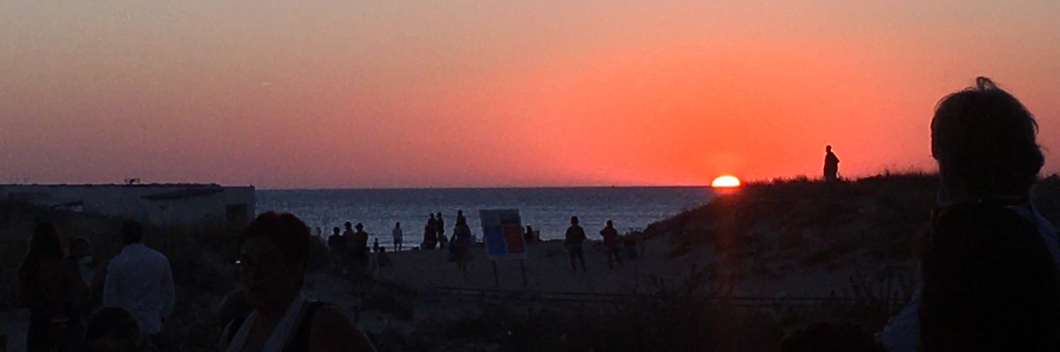 Mar Rominguera banner