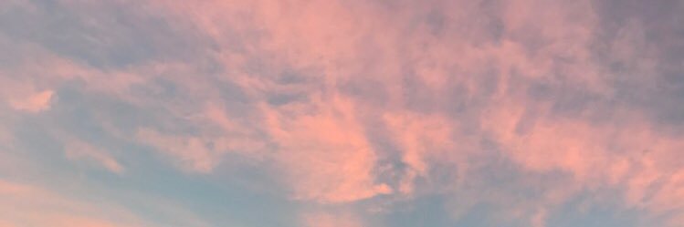 annaelloosle's profile banner image