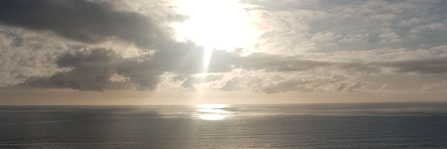 WayvyBro's profile banner image