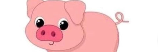 nvy85's profile banner image