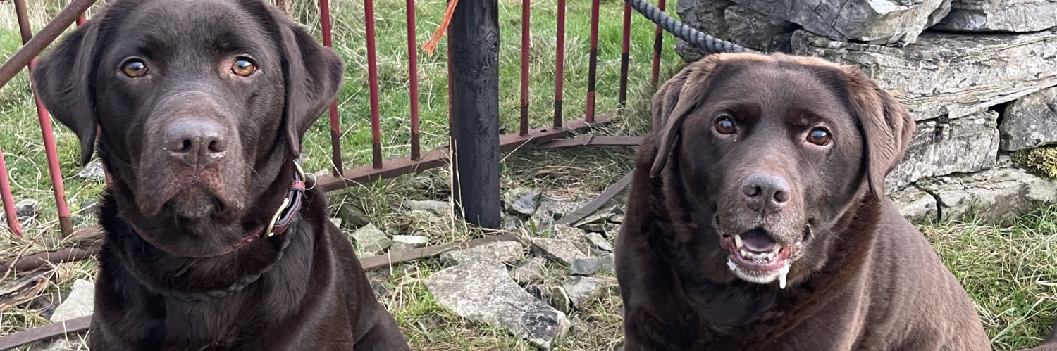 Richard Hardcastle banner