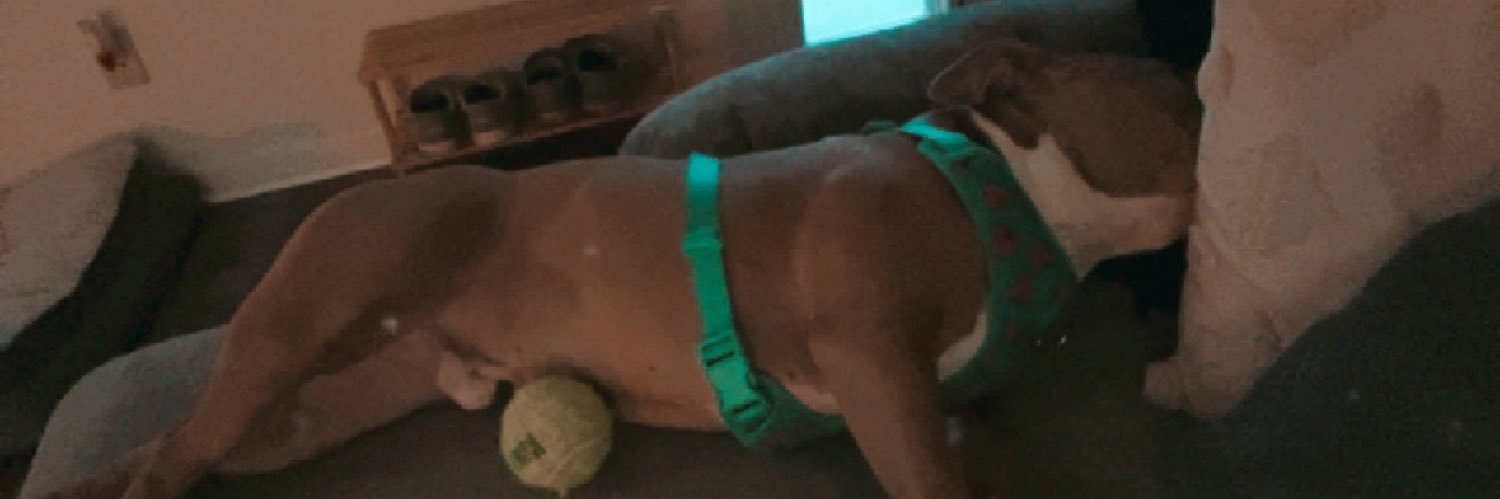 kenzwaidlich's profile banner image