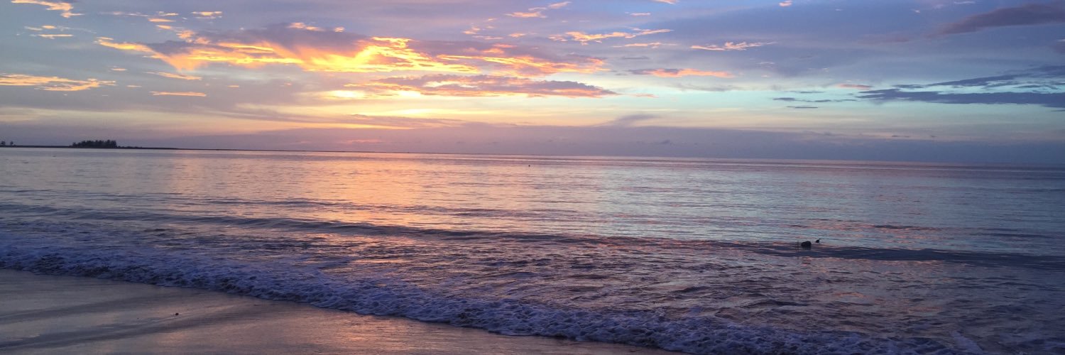 designpal's profile banner image