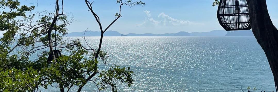 Life of Win banner
