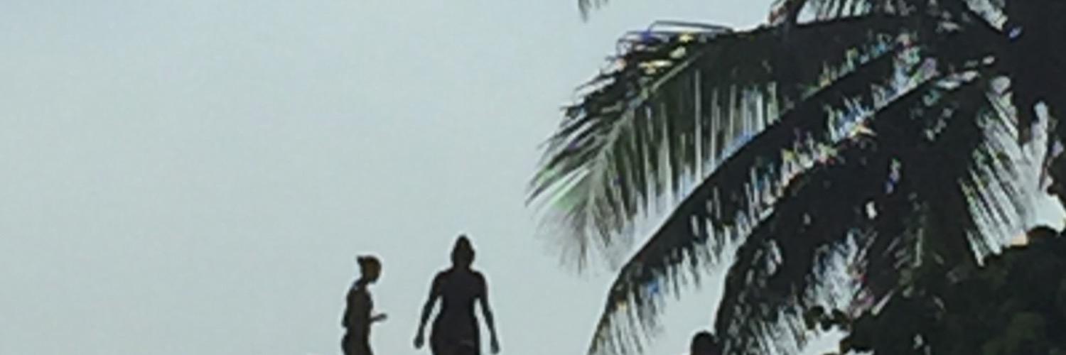 DualLulic banner