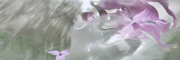 gillibunn Profile Banner