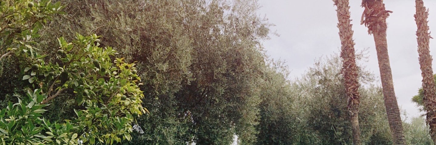 Scorp1o_28's profile banner image