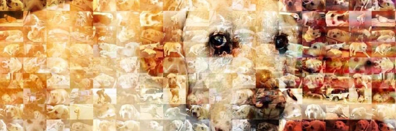 Amelia5437's profile banner image