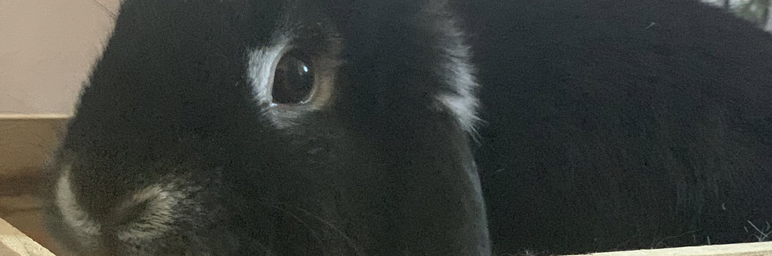 penelopeysf's profile banner image