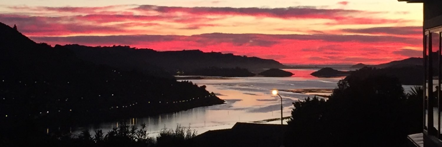 NzPattison's profile banner image