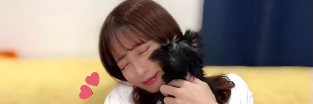 みゅーごん banner