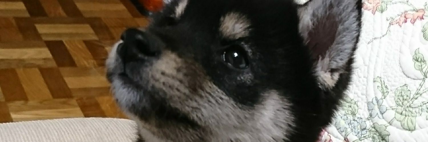 abex0920's profile banner image