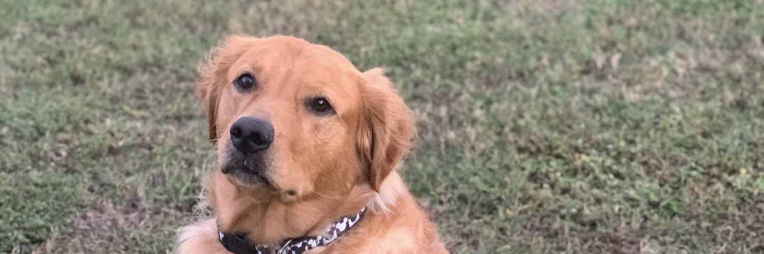 Scrunks's profile banner image