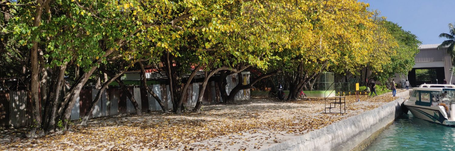 Saiboni Shaah banner