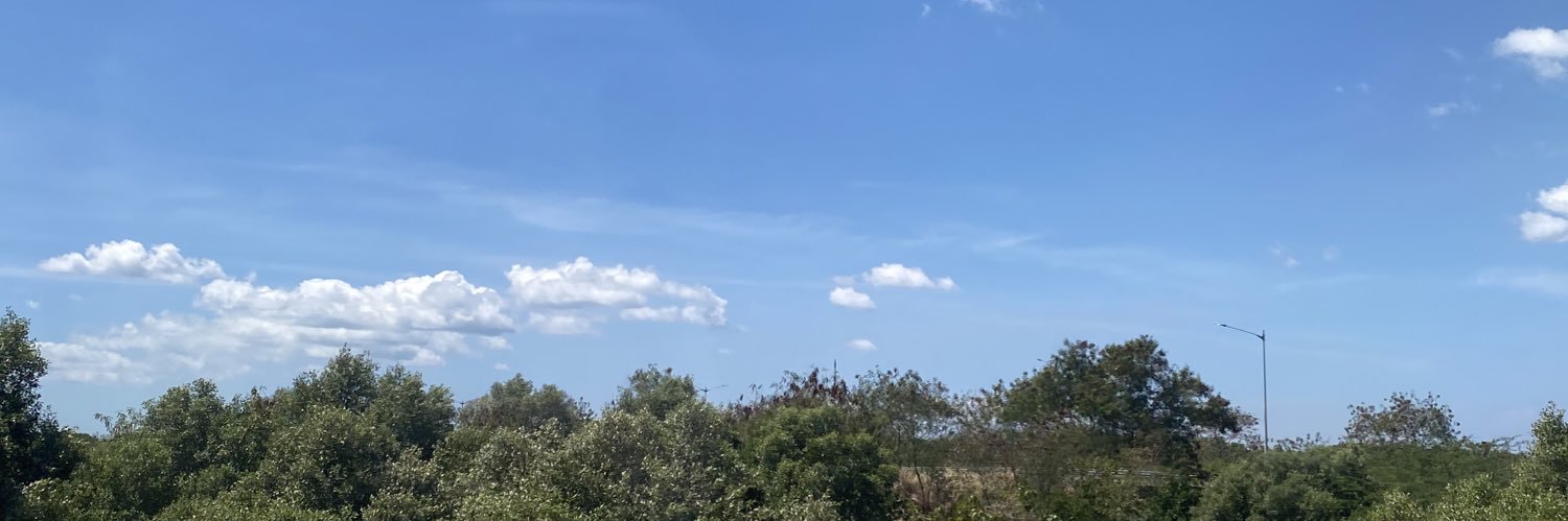 Rhonaaaaa_'s profile banner image