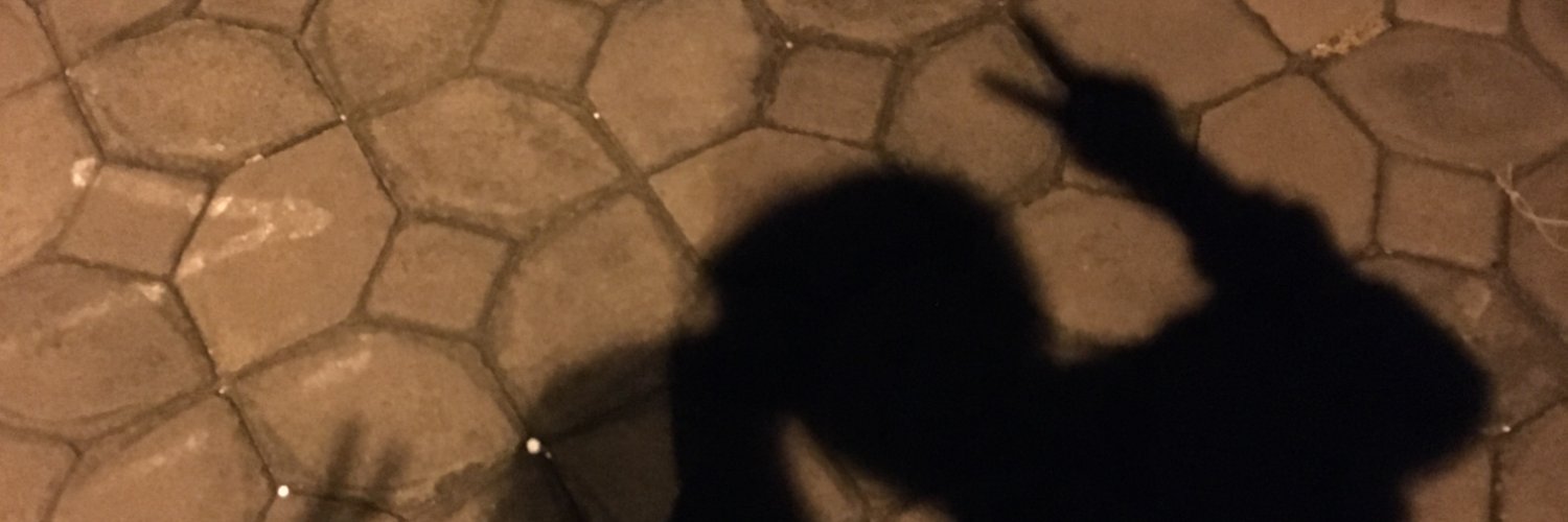 swghna's profile banner image