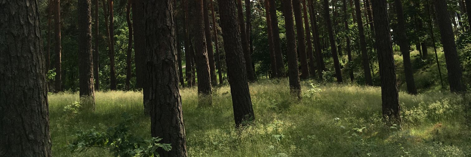 all0fthelightz's profile banner image