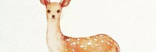 bfbcfggg's profile banner image