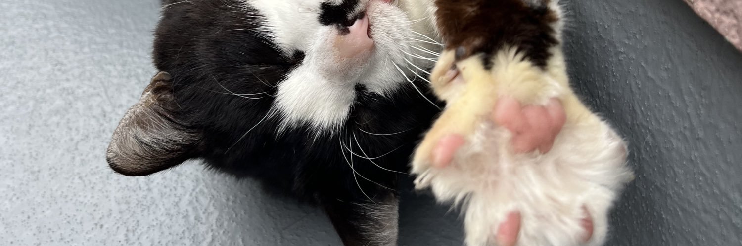 五十嵐  香織 banner