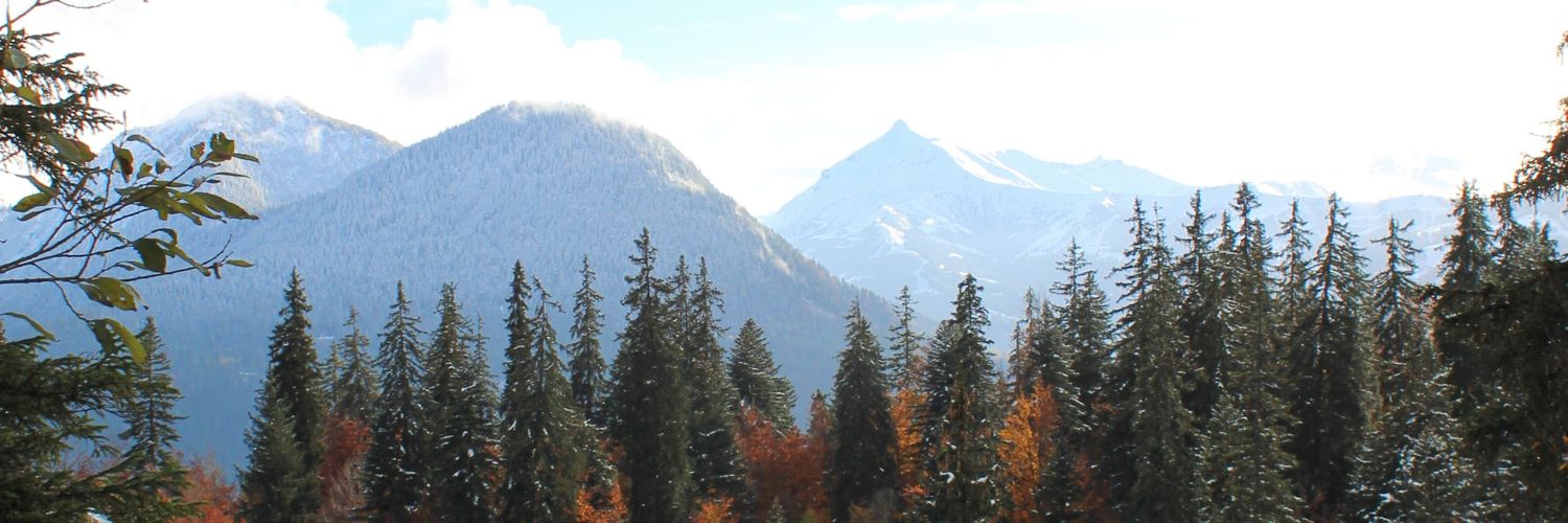 nospc_'s profile banner image