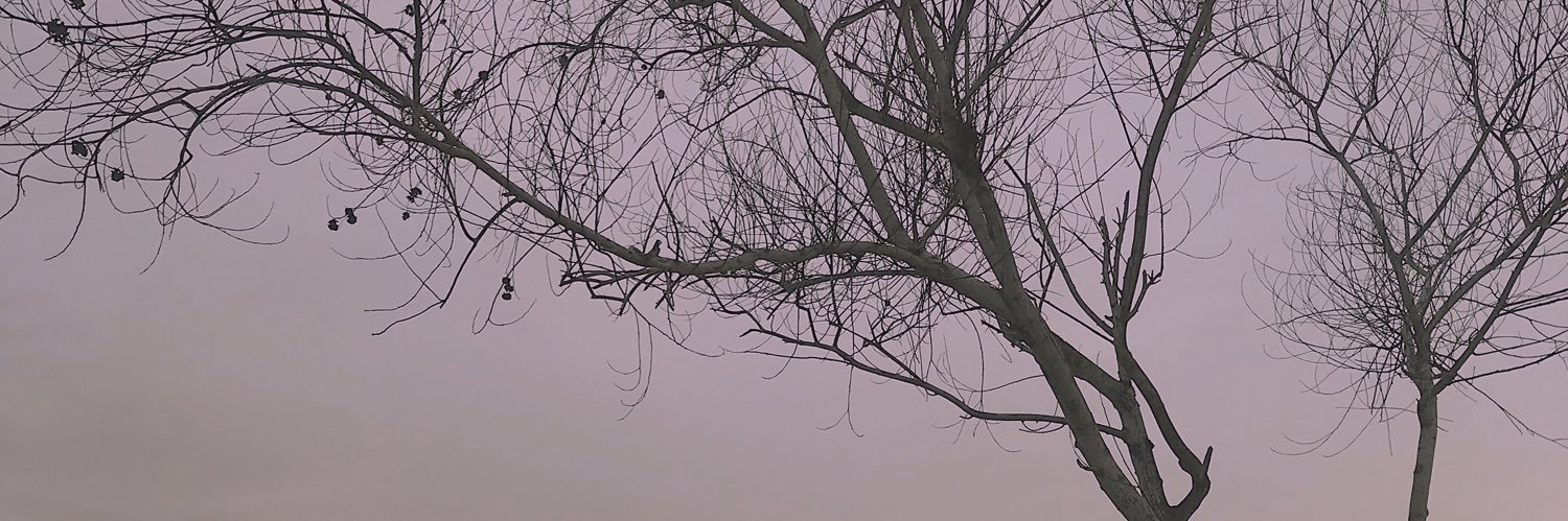 molengorengan's profile banner image