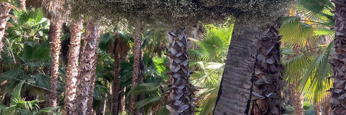 anmcort's profile banner image