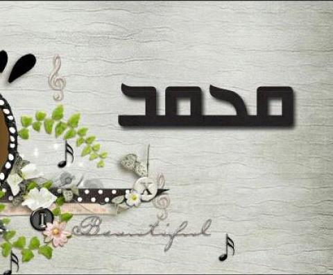 500_tooo's profile banner image
