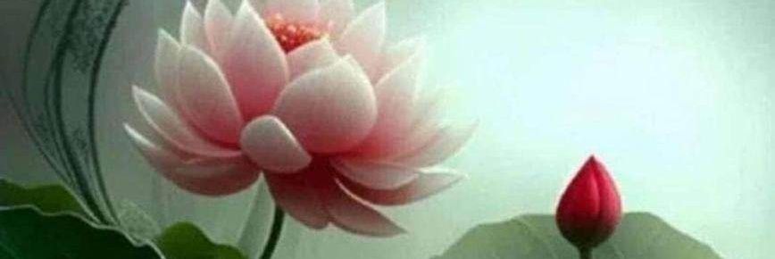 Desai52R's profile banner image