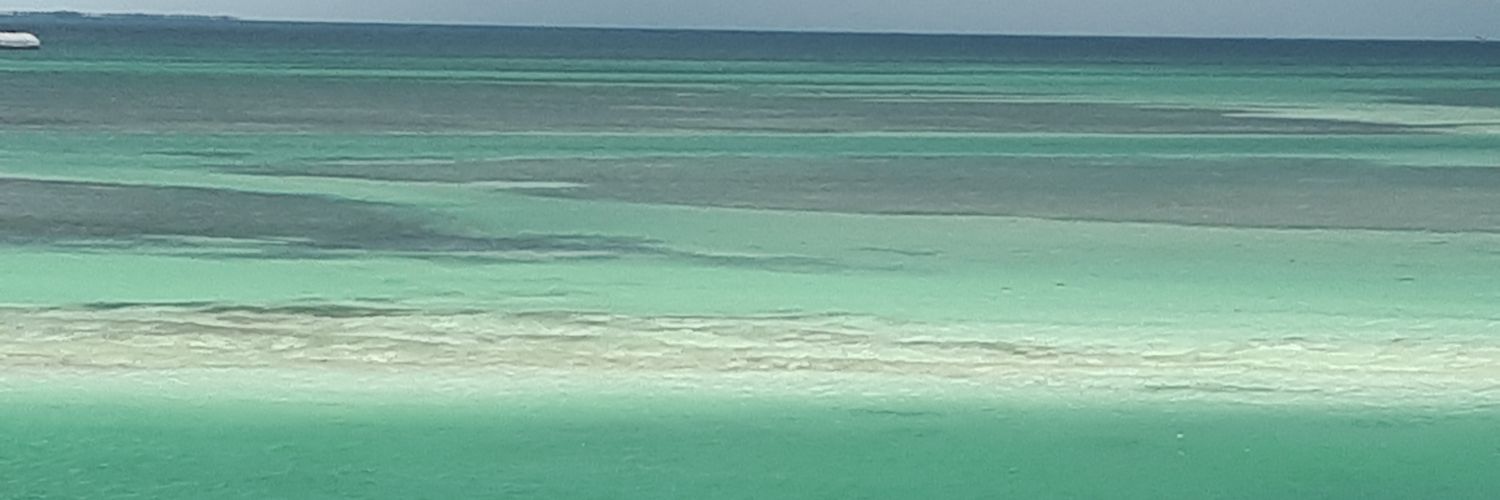 mimiBSB2016's profile banner image