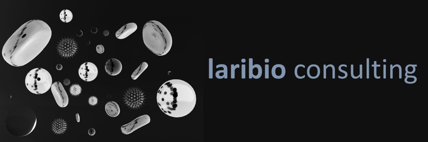 laribio consulting banner