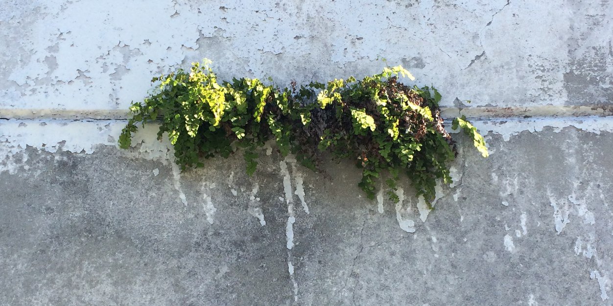 Superlocalstudio banner