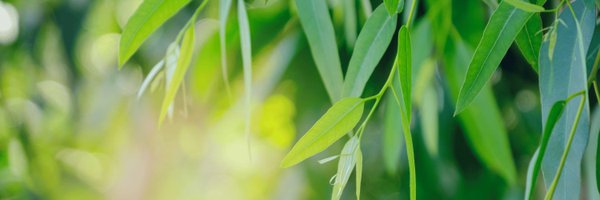 cpositiveaus Profile Banner