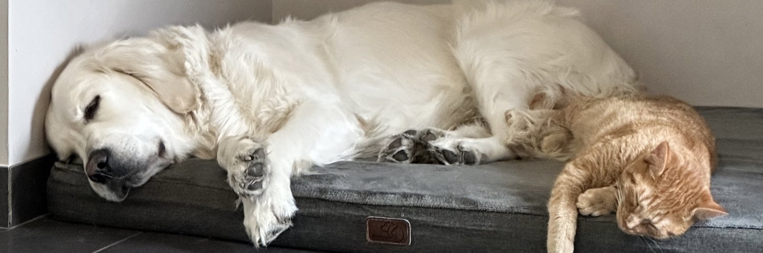 anaiskdk's profile banner image
