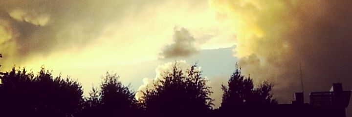 おかーさん🐕 banner