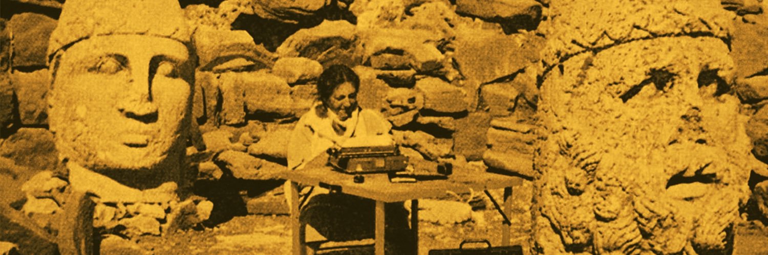 Doğan Satmış banner