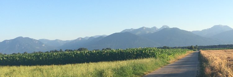 sineadoconnell9's profile banner image