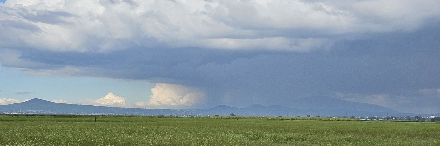 RODROL... Viva Palestina libre...🇵🇸🏳 banner