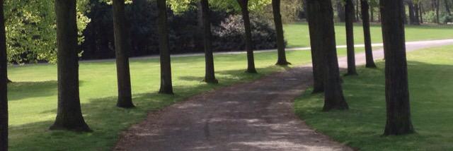 Daði Bergsson banner