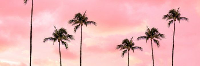 mackycutee's profile banner image