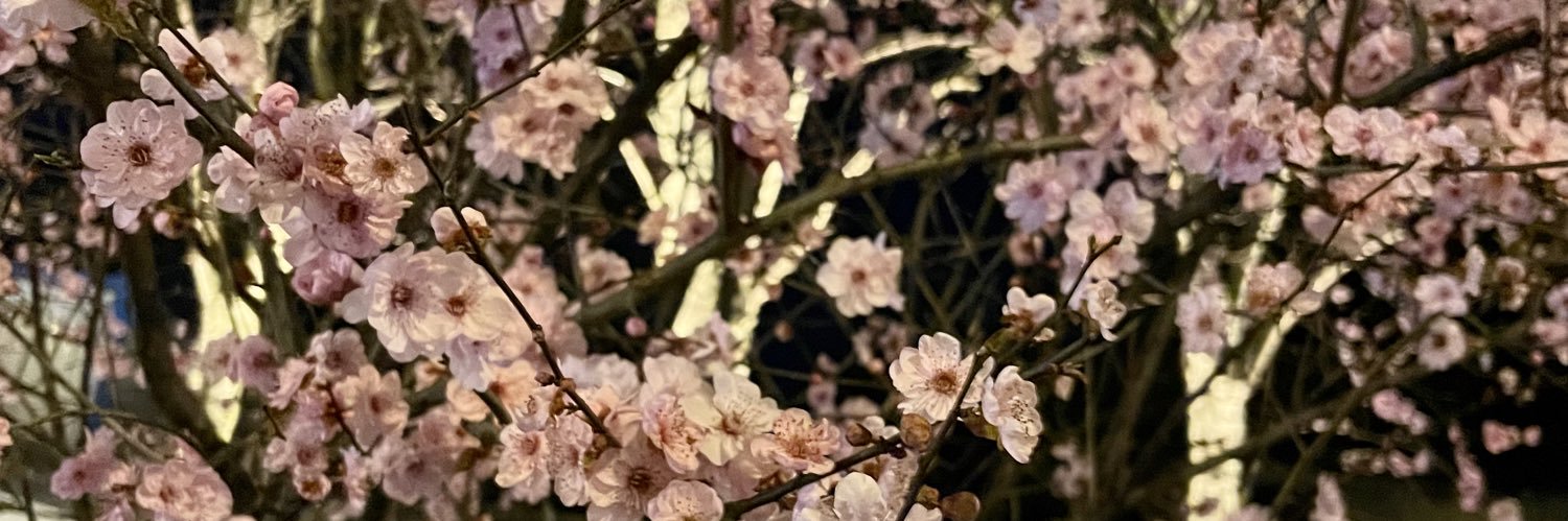 yaoyaogo's profile banner image