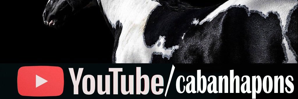 CabanhaPons's profile banner image