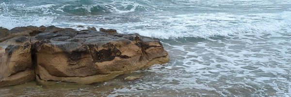 davnac Profile Banner