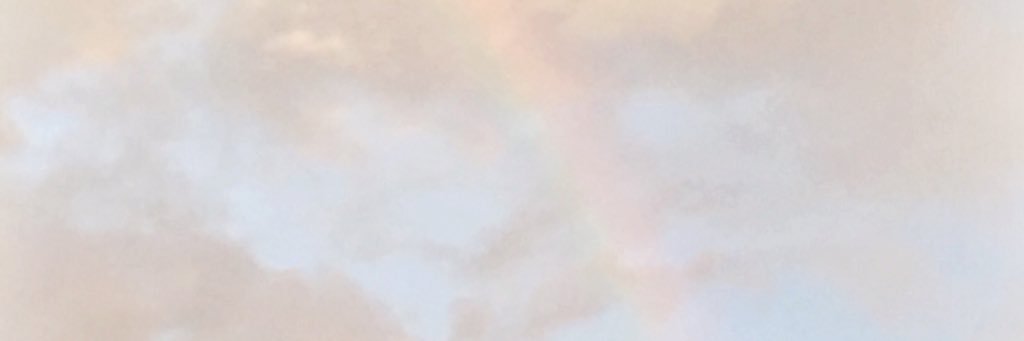 chamomieee's profile banner image
