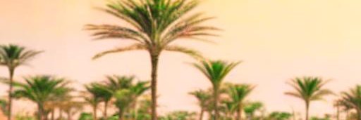 SidiMinate's profile banner image